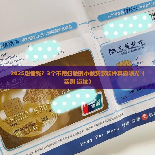 不需扫脸小额贷款的软件
