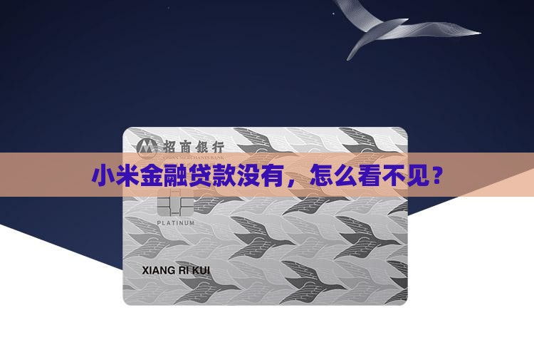 小米金融贷款看不见