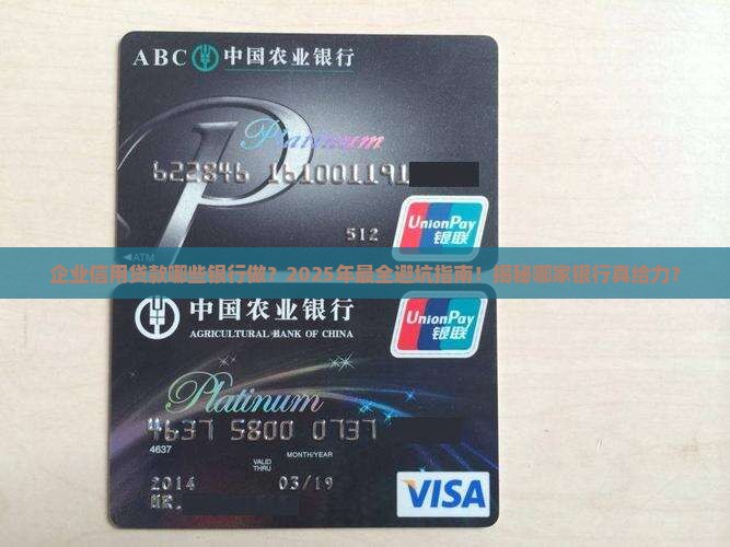 企业信用贷款哪些银行做