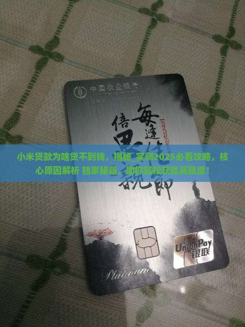 小米贷款为啥贷不到钱