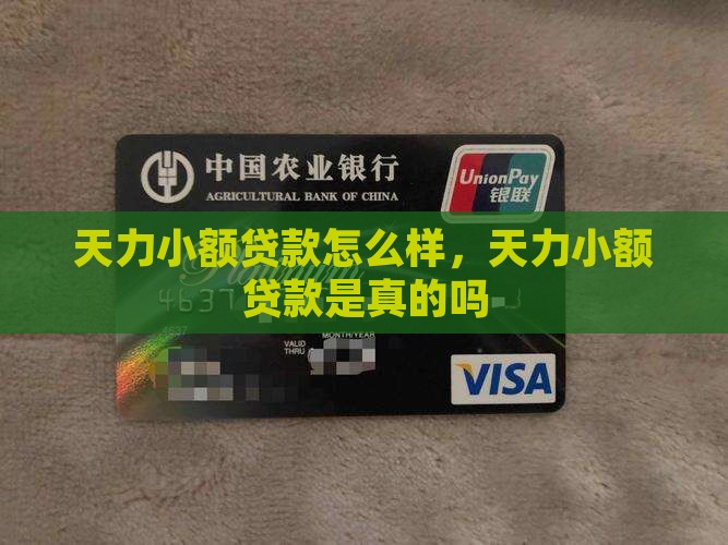 天力小额贷款