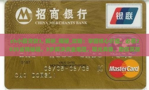 zh小额贷款3