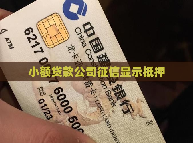 小额贷款公司征信显示抵押