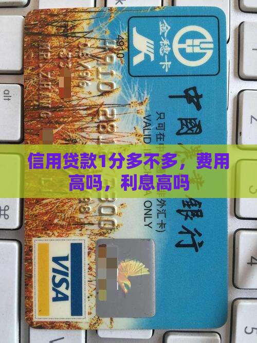信用贷款1分多不多