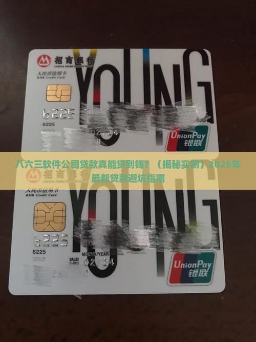 八六三软件公司贷款