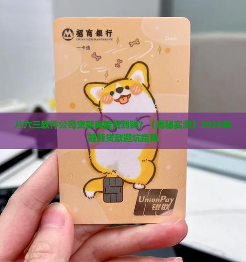 八六三软件公司贷款