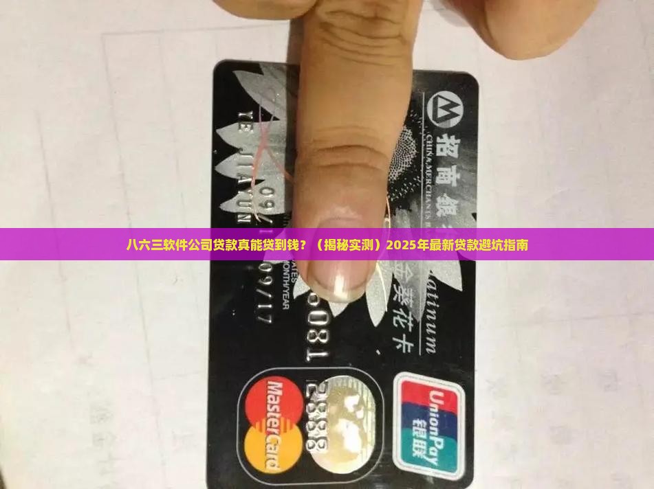 八六三软件公司贷款