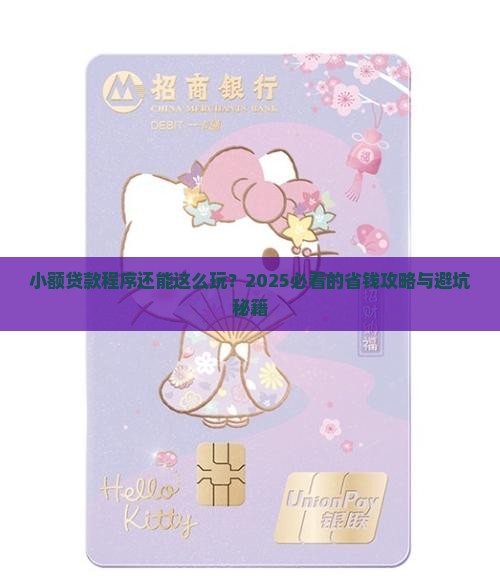 小额贷款程序