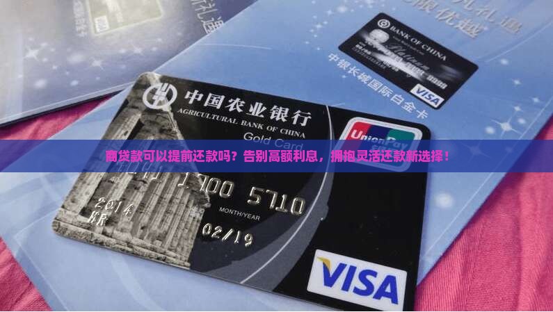 商贷款可以提前还款吗