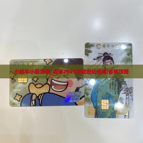 小蜗牛小额贷款