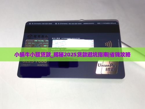 小蜗牛小额贷款
