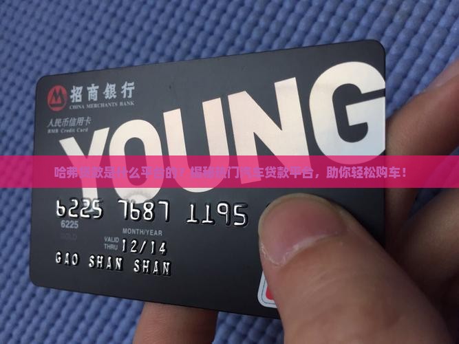 哈弗贷款是什么平台的