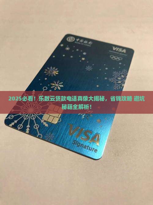 乐数云贷款平台电话