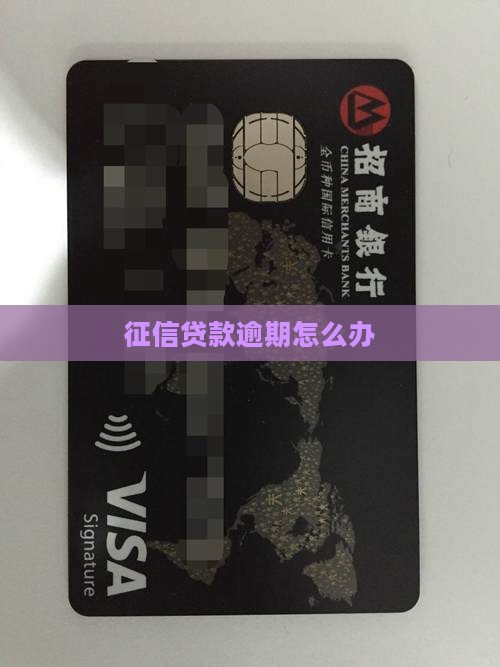 办贷款征信逾期