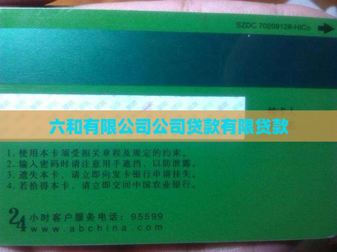 六和集团信用贷款