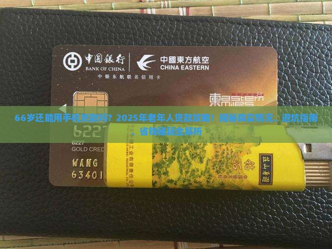 66岁可以用手机贷款吗