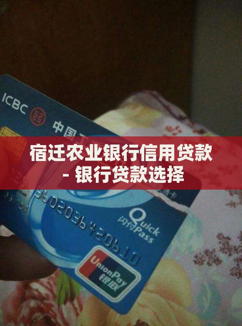宿迁农业银行信用贷款
