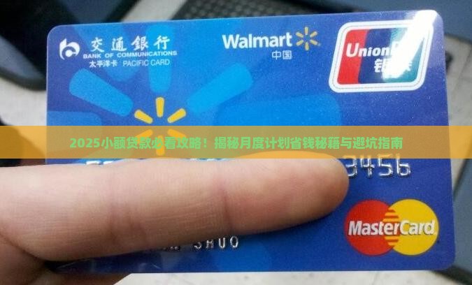 小额贷款月度计划