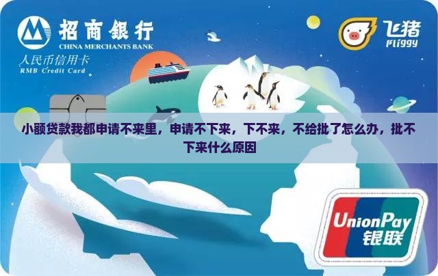 小额贷款我都申请不来里