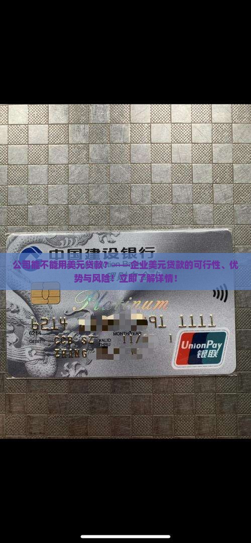 公司能不能用美元贷款