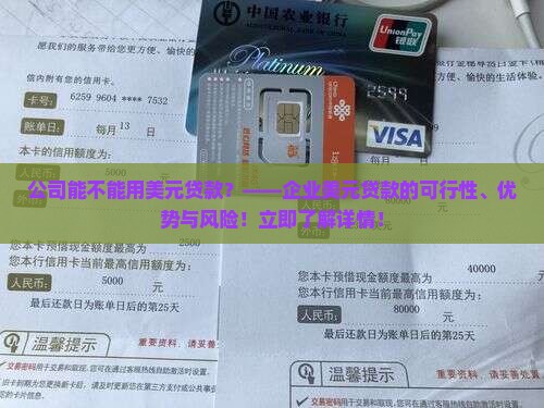 公司能不能用美元贷款