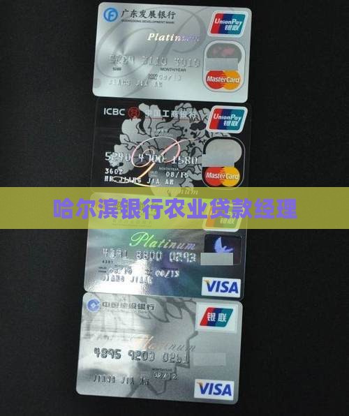 哈尔滨银行农业贷款经理
