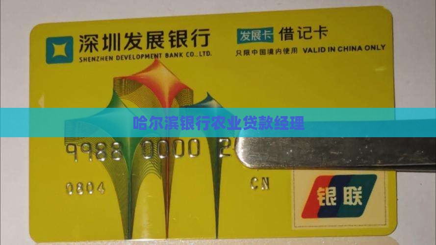 哈尔滨银行农业贷款经理