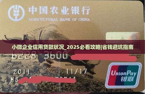 小微企业信用贷款状况
