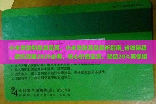 小米贷款利息真是高