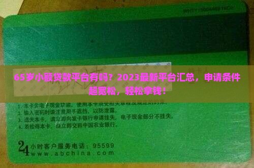 65岁小额贷款平台有吗