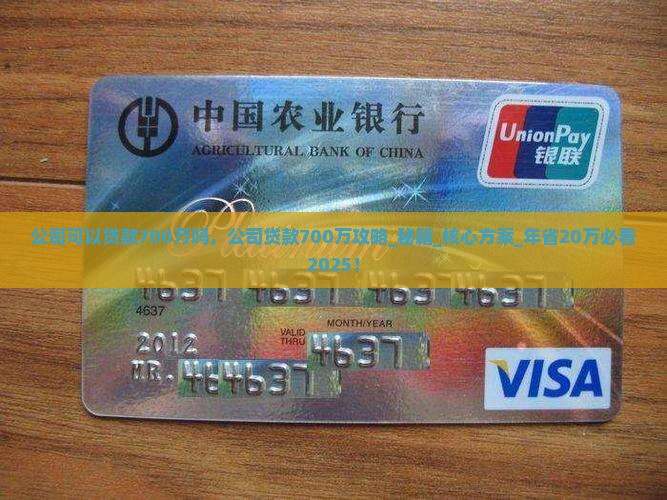 公司可以贷款700万吗