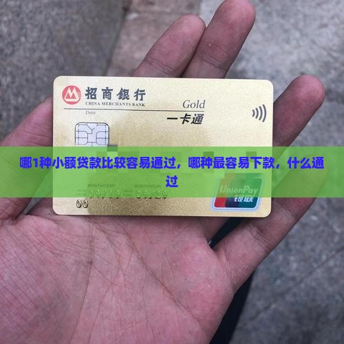 哪1种小额贷款比较容易