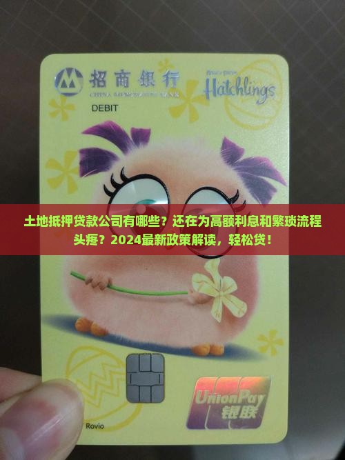 土地抵押贷款公司有哪些