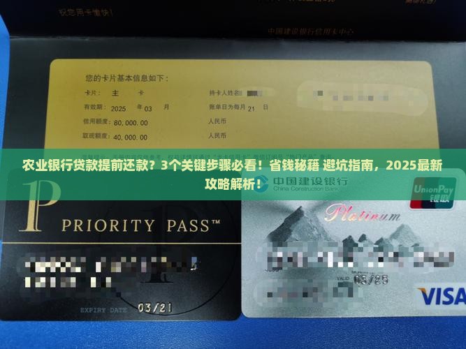 农业银行贷款提前打贷款