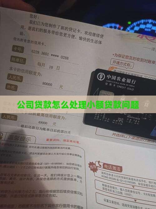 公司很多小额贷款怎么办