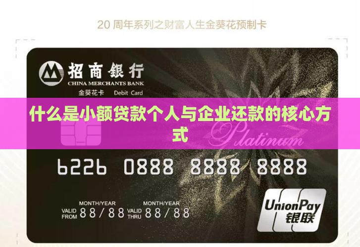 什么是小额贷款还款方式