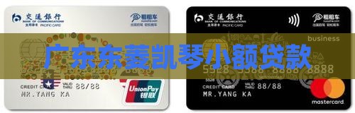 东菱小额贷款