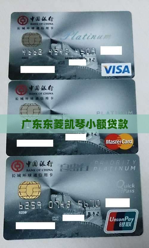 东菱小额贷款