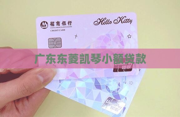 东菱小额贷款