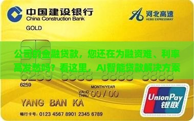 公司的金融贷款