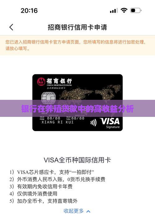 养牛贷款银行收益高吗