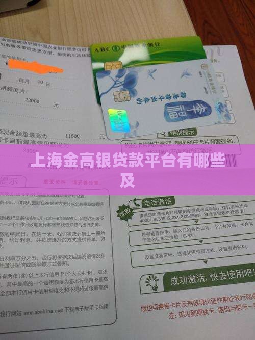 上海金高银贷款平台