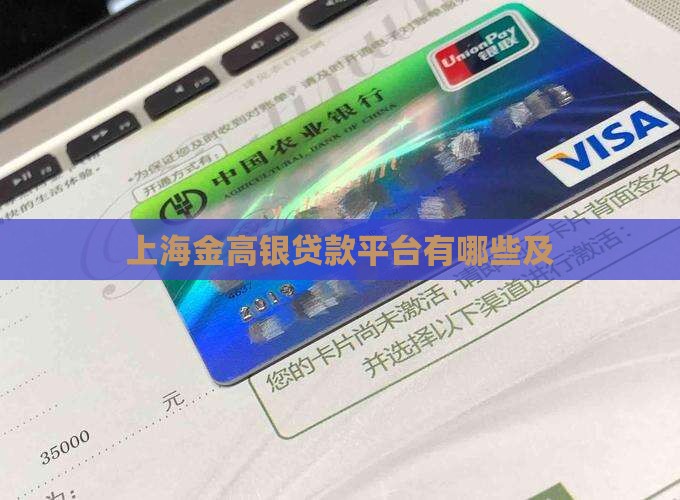 上海金高银贷款平台