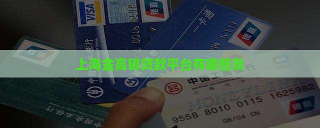 上海金高银贷款平台