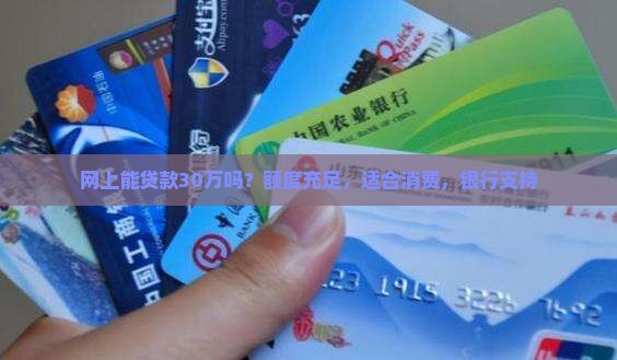 网上能贷款30万吗