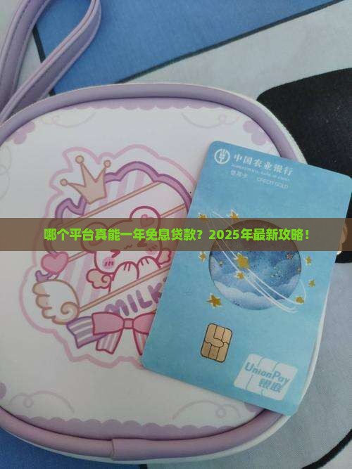 哪个平台能一年免息贷款