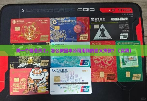 园丰公司以我的名义贷款