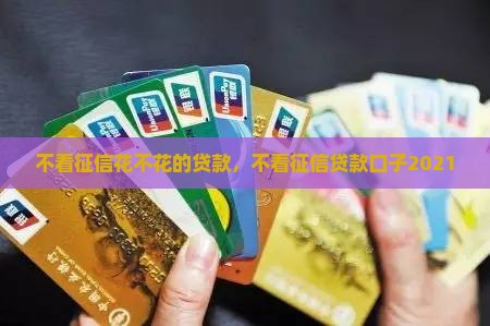 不看征信花不花的贷款