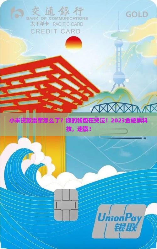 小米贷款雷军