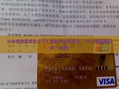 小米贷款雷军